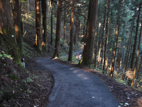 20151127hike (290)